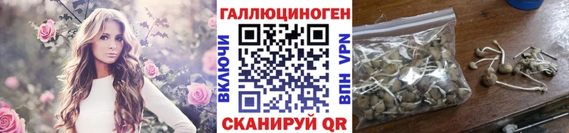 Псилоцибиновые грибы мицелий Белинский